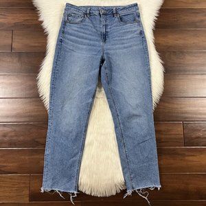 American Eagle Women's Size 10 R Medium Wash Mom Denim Jeans